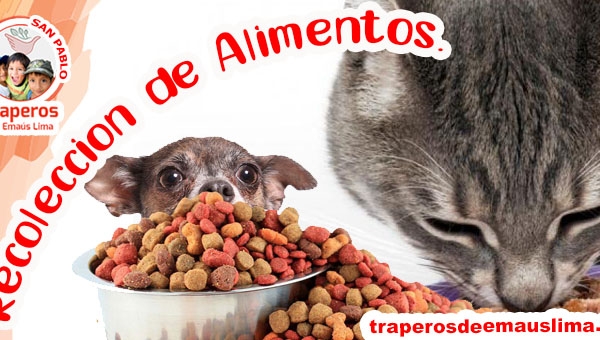 ▷ Donación de Alimentos para Perros y Gatos 【 Lima - Perú 】